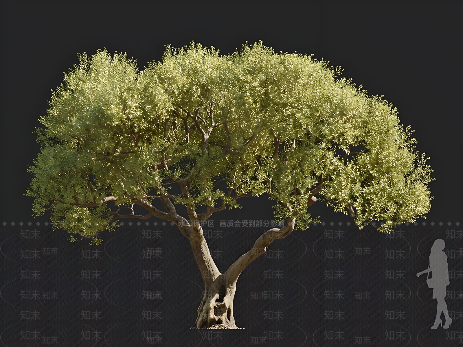 乔木3D模型下载【ID:1166507180】