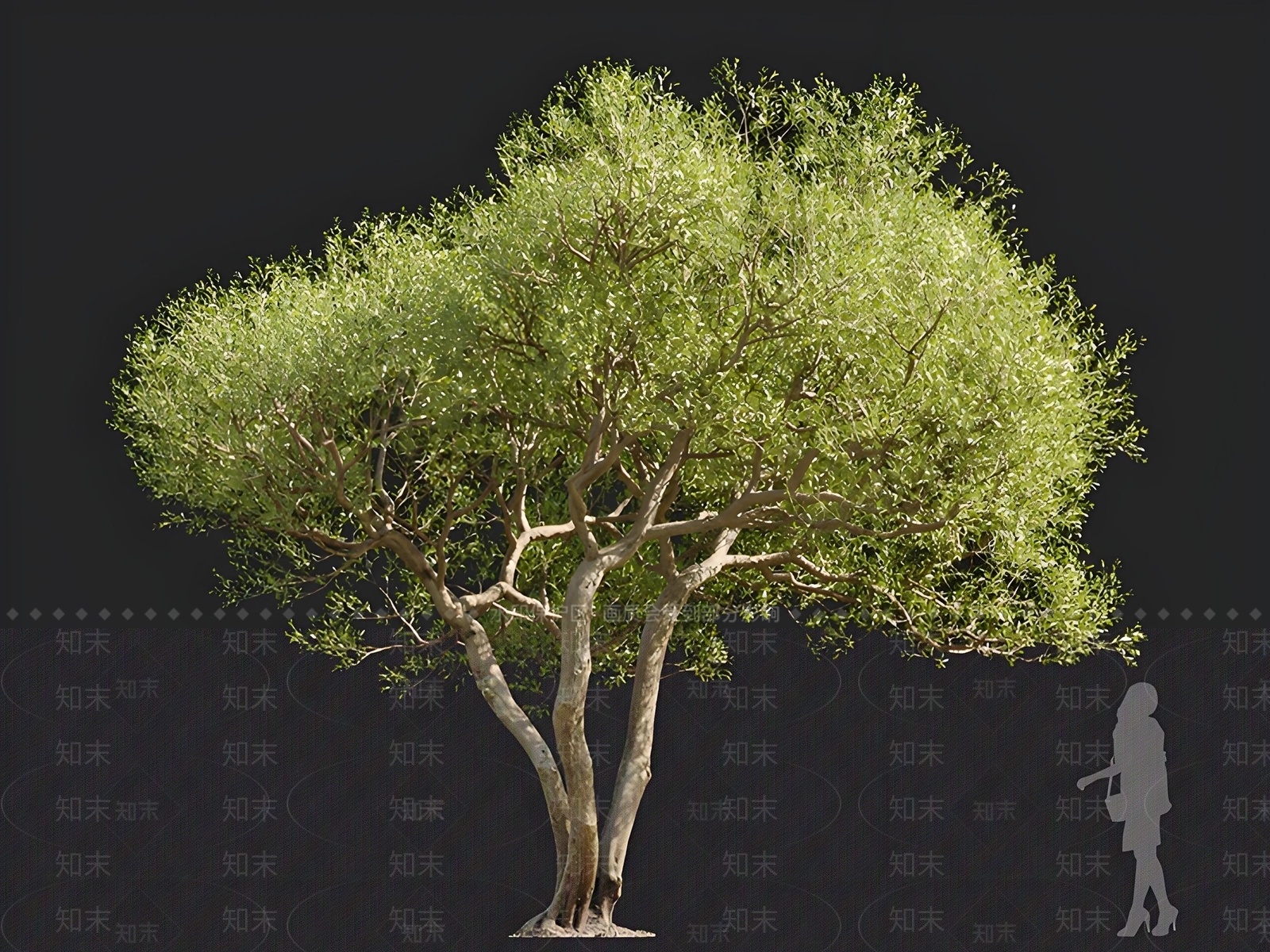 乔木3D模型下载【ID:1166507572】