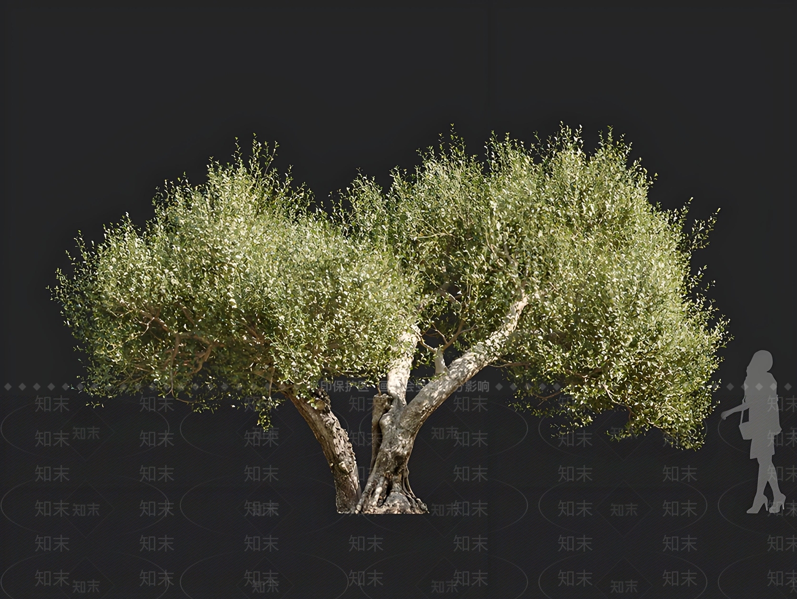 乔木3D模型下载【ID:1166507877】