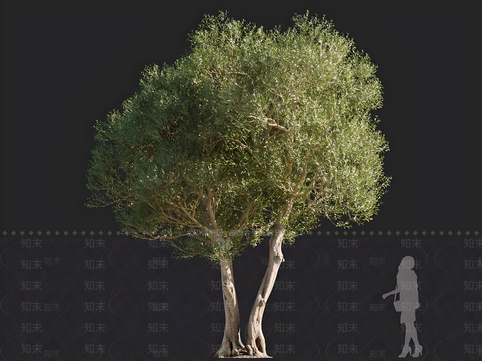 乔木3D模型下载【ID:1166510380】