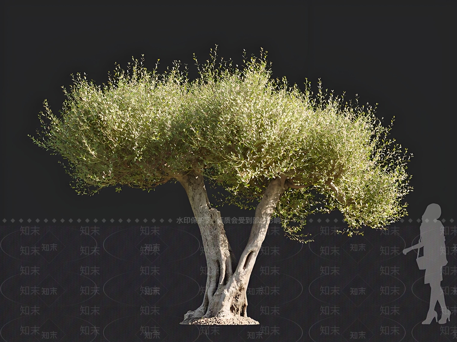 乔木3D模型下载【ID:1166512922】