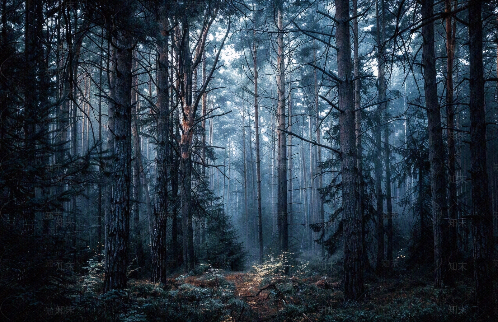 欧式壁纸贴图下载【ID:1166527923】