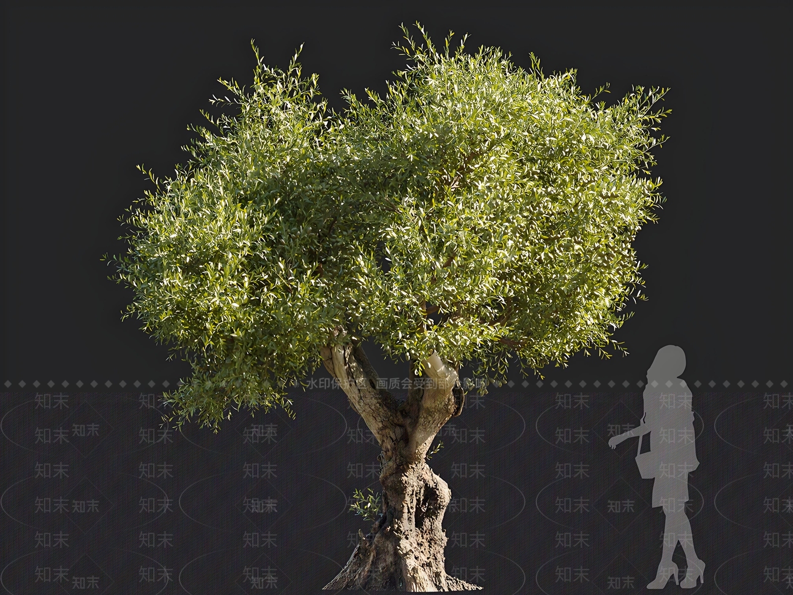 景观树3D模型下载【ID:1166532912】