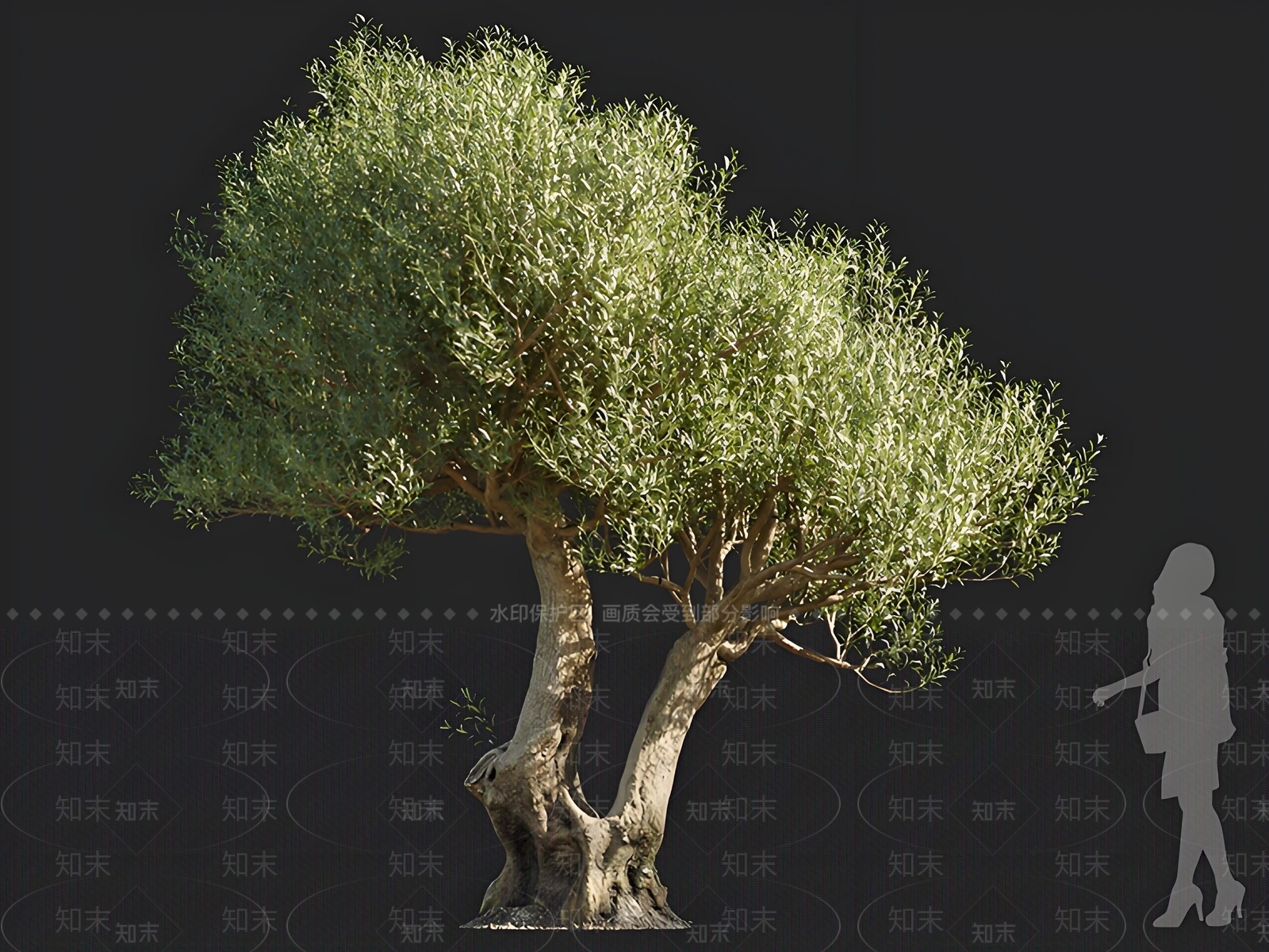 景观树3D模型下载【ID:1166534691】