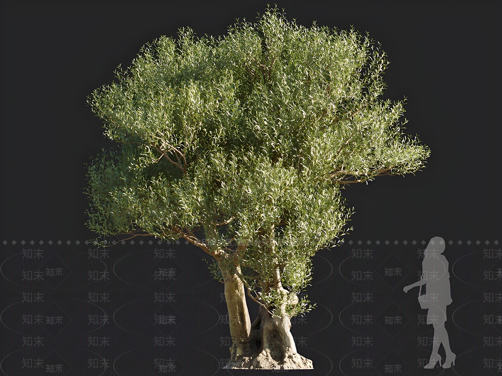 乔木3D模型下载【ID:1166534696】