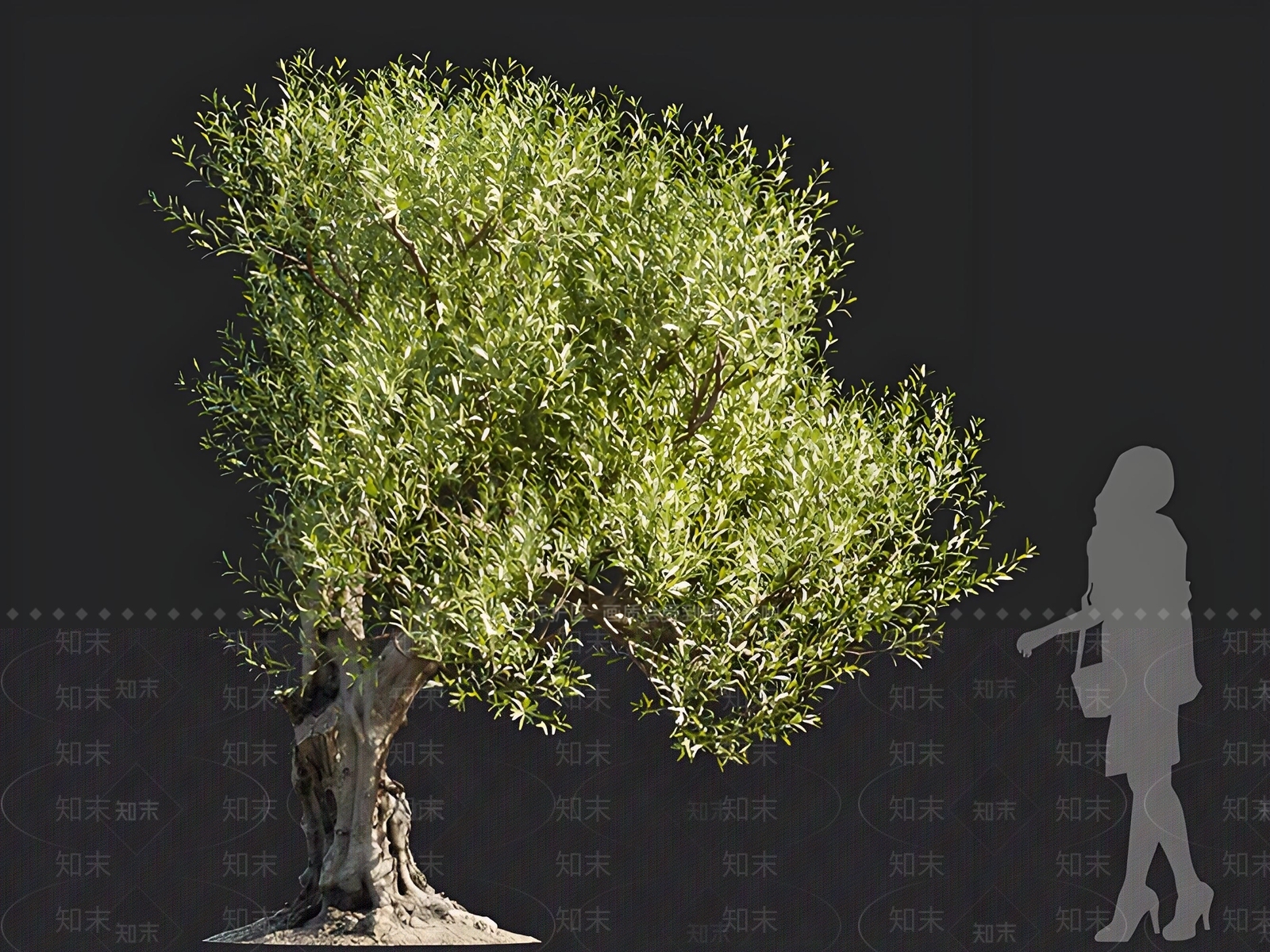 乔木3D模型下载【ID:1166535352】