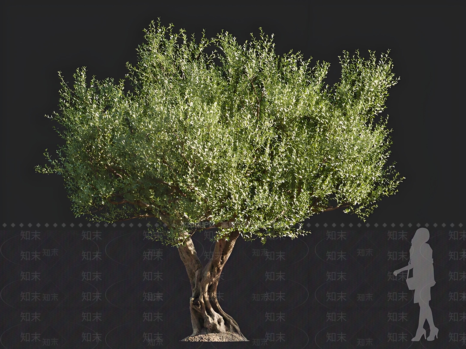 景观树3D模型下载【ID:1166537415】