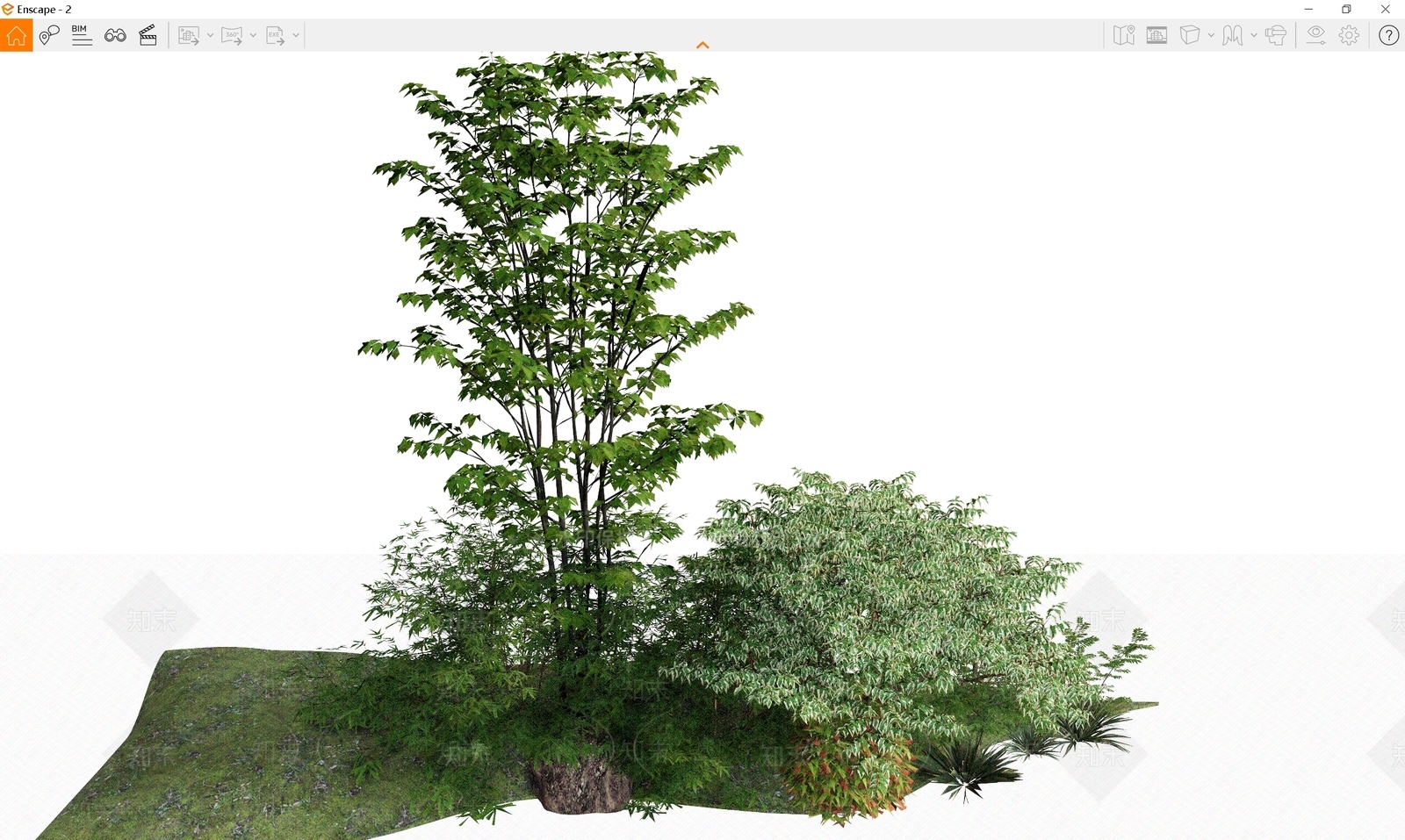 植物组合SU模型下载【ID:1166636305】
