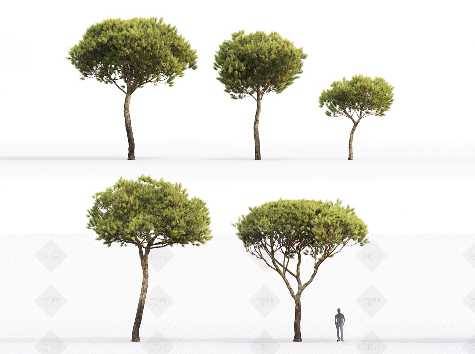 景观树3D模型下载【ID:1166688354】