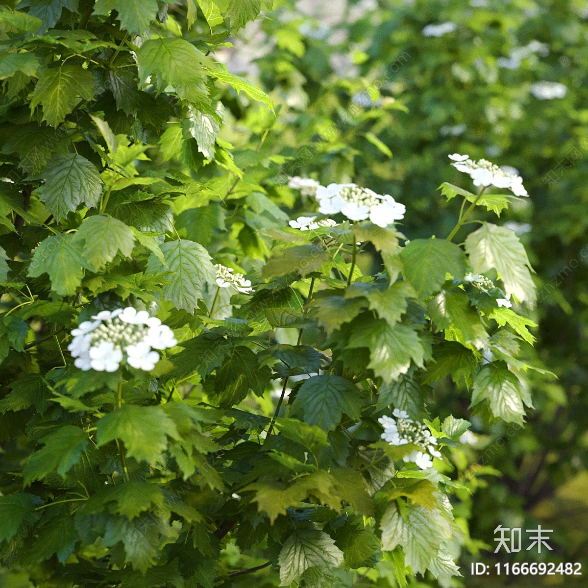 植物堆3D模型下载【ID:1166692482】