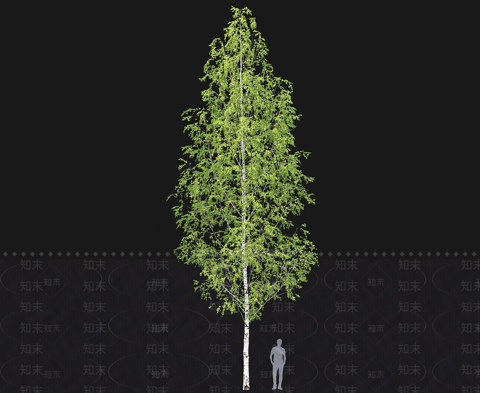 景观树3D模型下载【ID:1166713974】