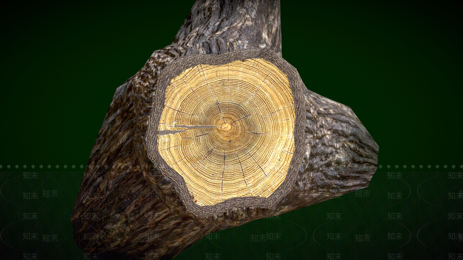 其他树木3D模型下载【ID:1166719959】