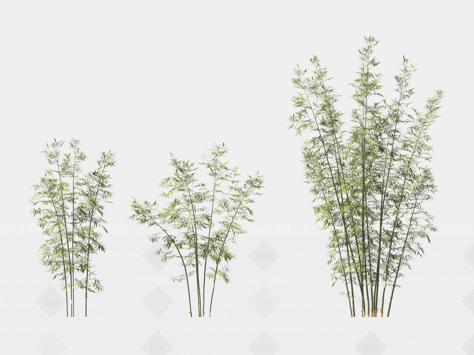 竹子3D模型下载【ID:1166769943】