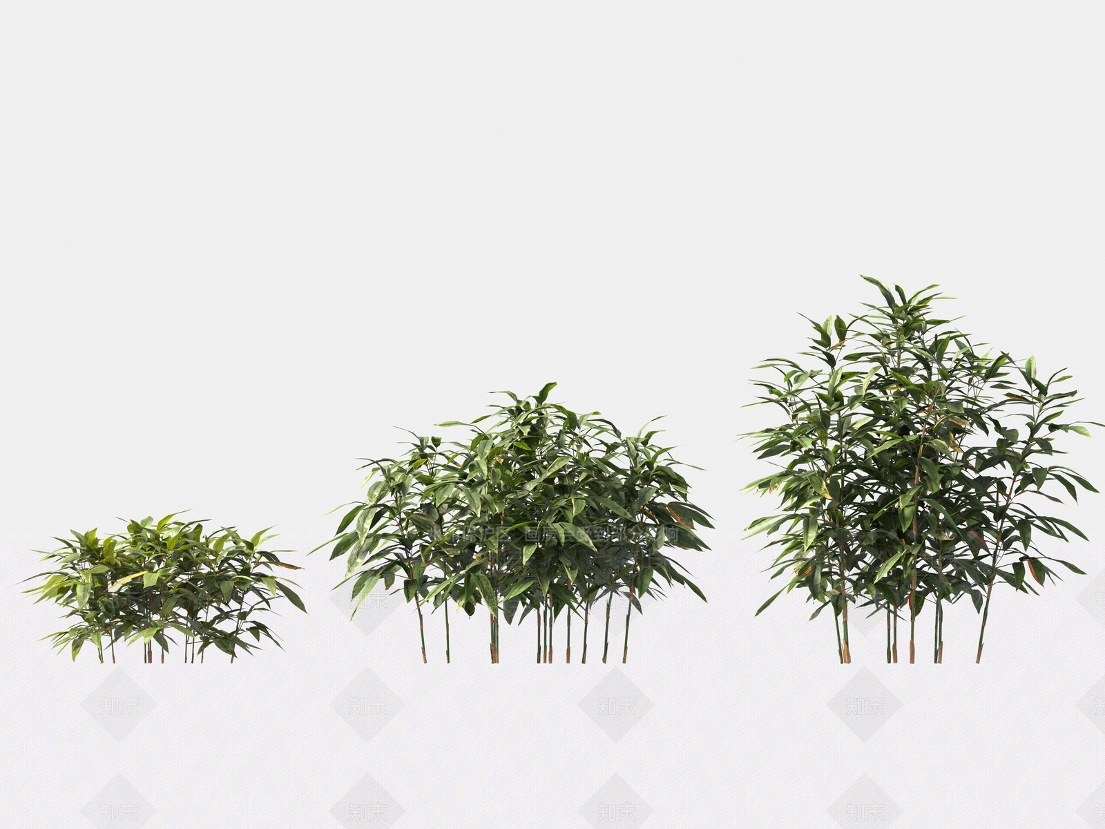 竹子3D模型下载【ID:1166780562】