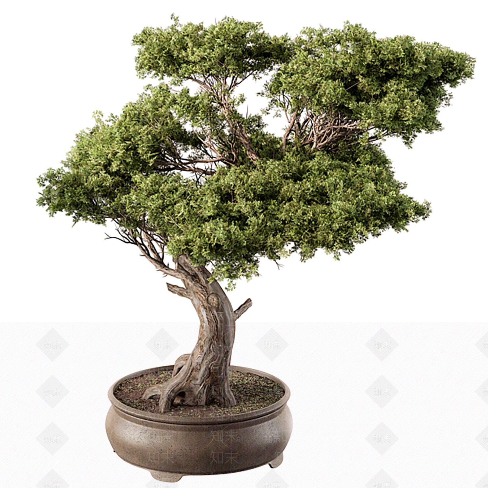 盆景3D模型下载【ID:1166781365】