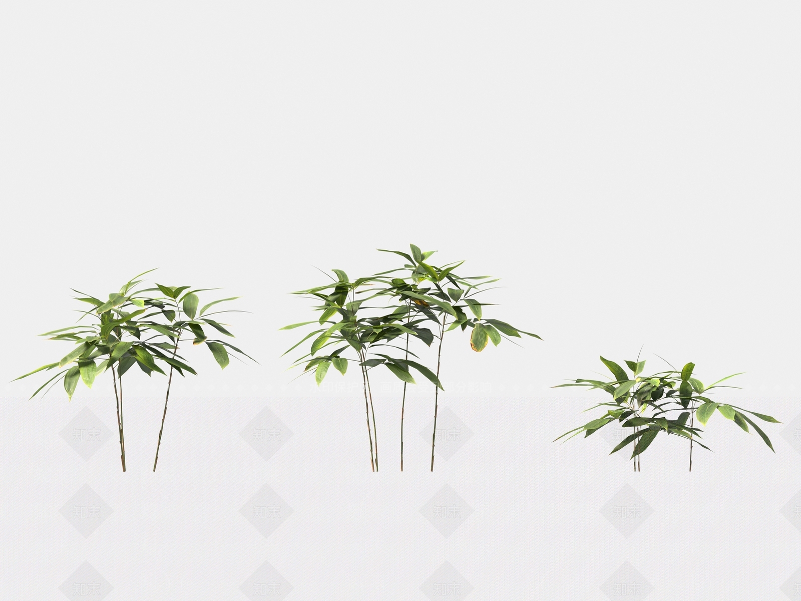 竹子3D模型下载【ID:1166783654】