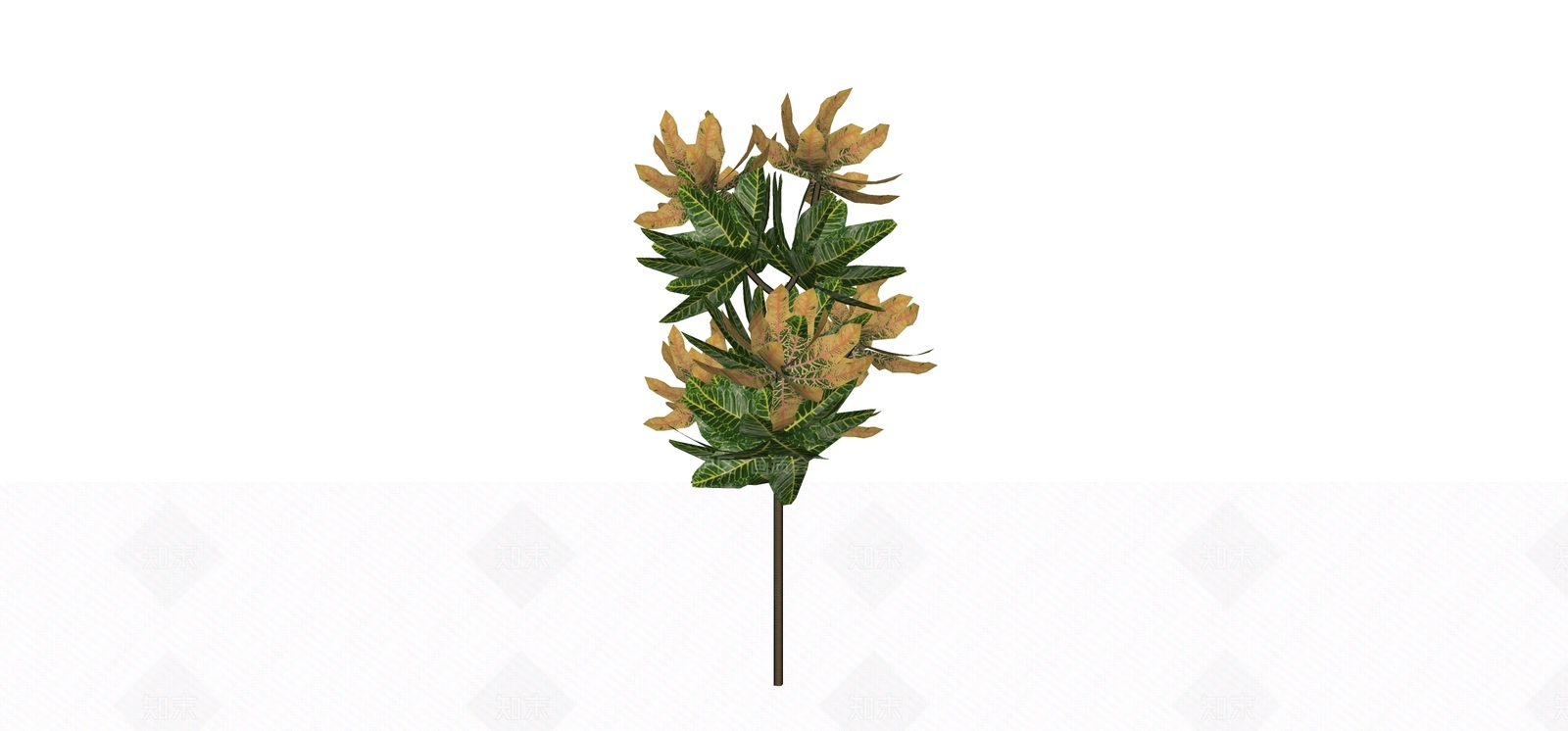 灌木SU模型下载【ID:1166802923】