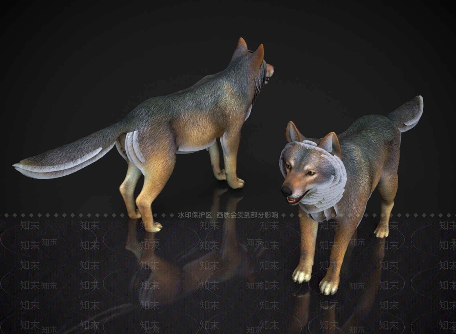 其他动物3D模型下载【ID:1166822550】