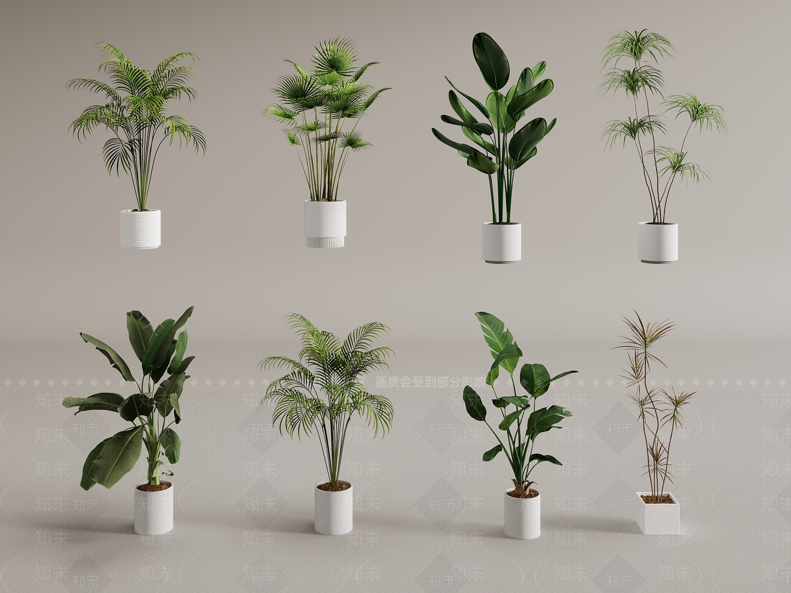 其他绿植3D模型下载【ID:1166880408】