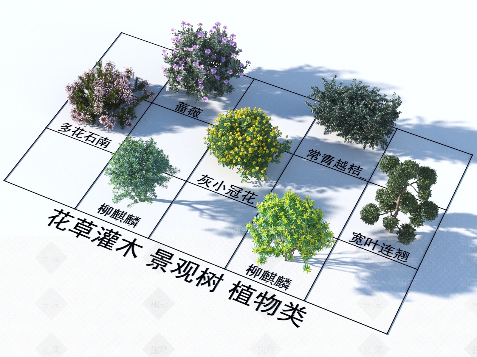 其他树木3D模型下载【ID:1166954788】