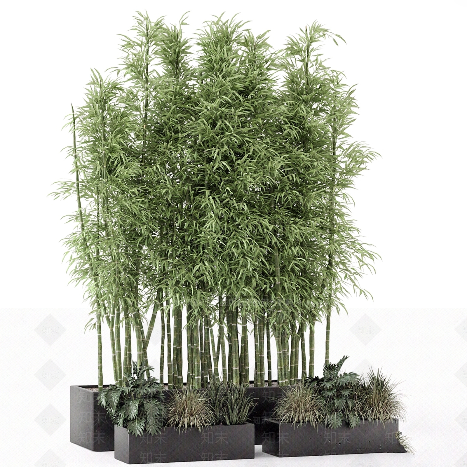 盆栽3D模型下载【ID:1166964528】