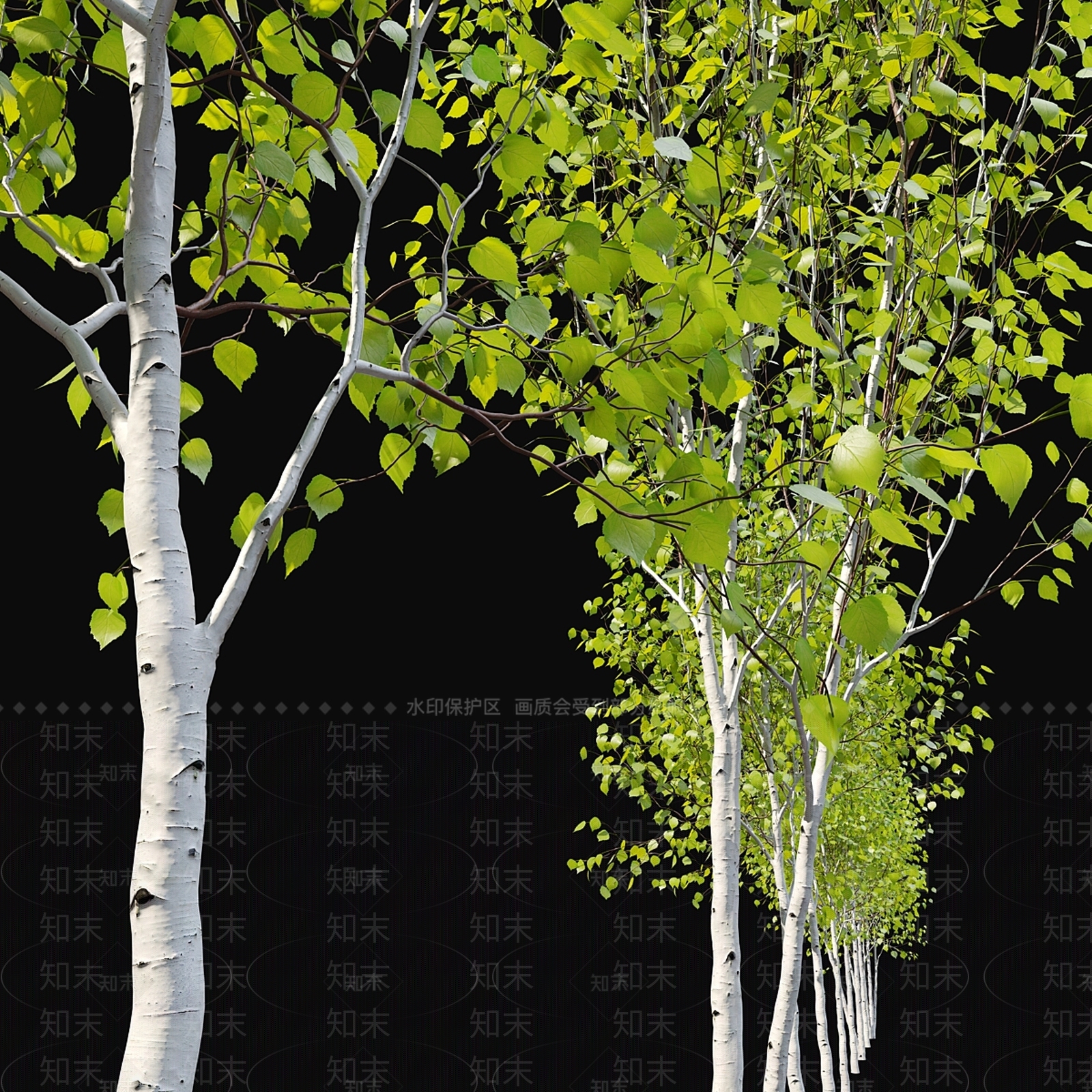 其他树木3D模型下载【ID:1166969878】