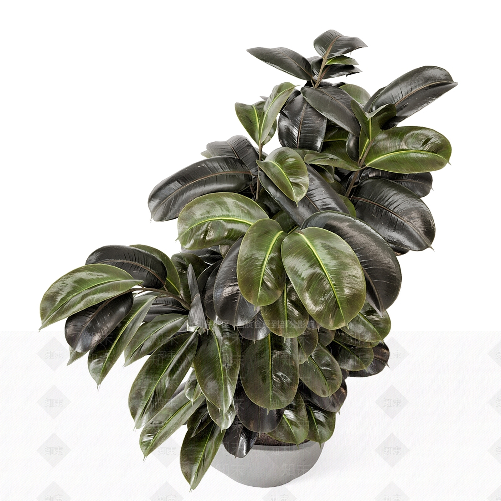 盆栽3D模型下载【ID:1166973145】