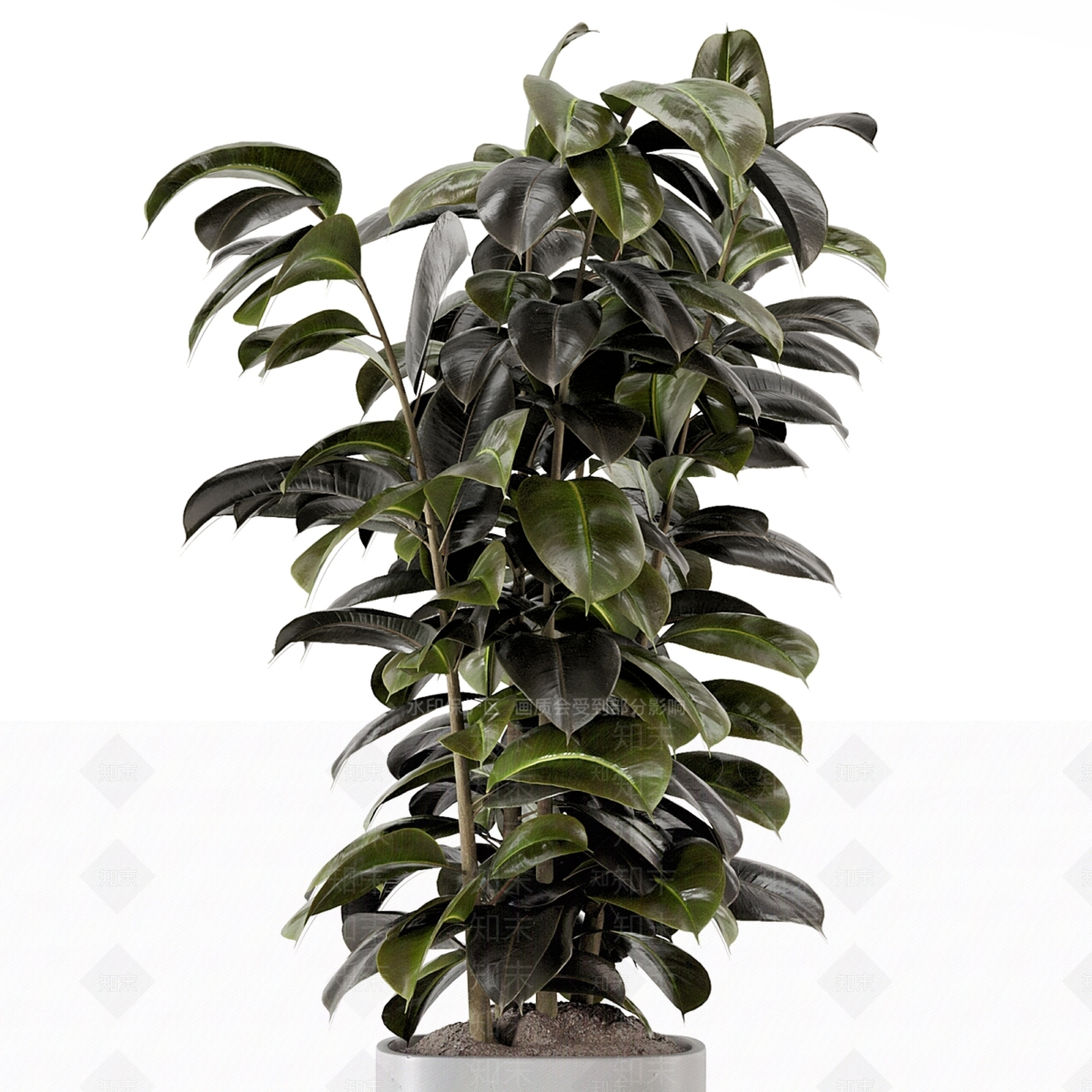 盆栽3D模型下载【ID:1166973145】