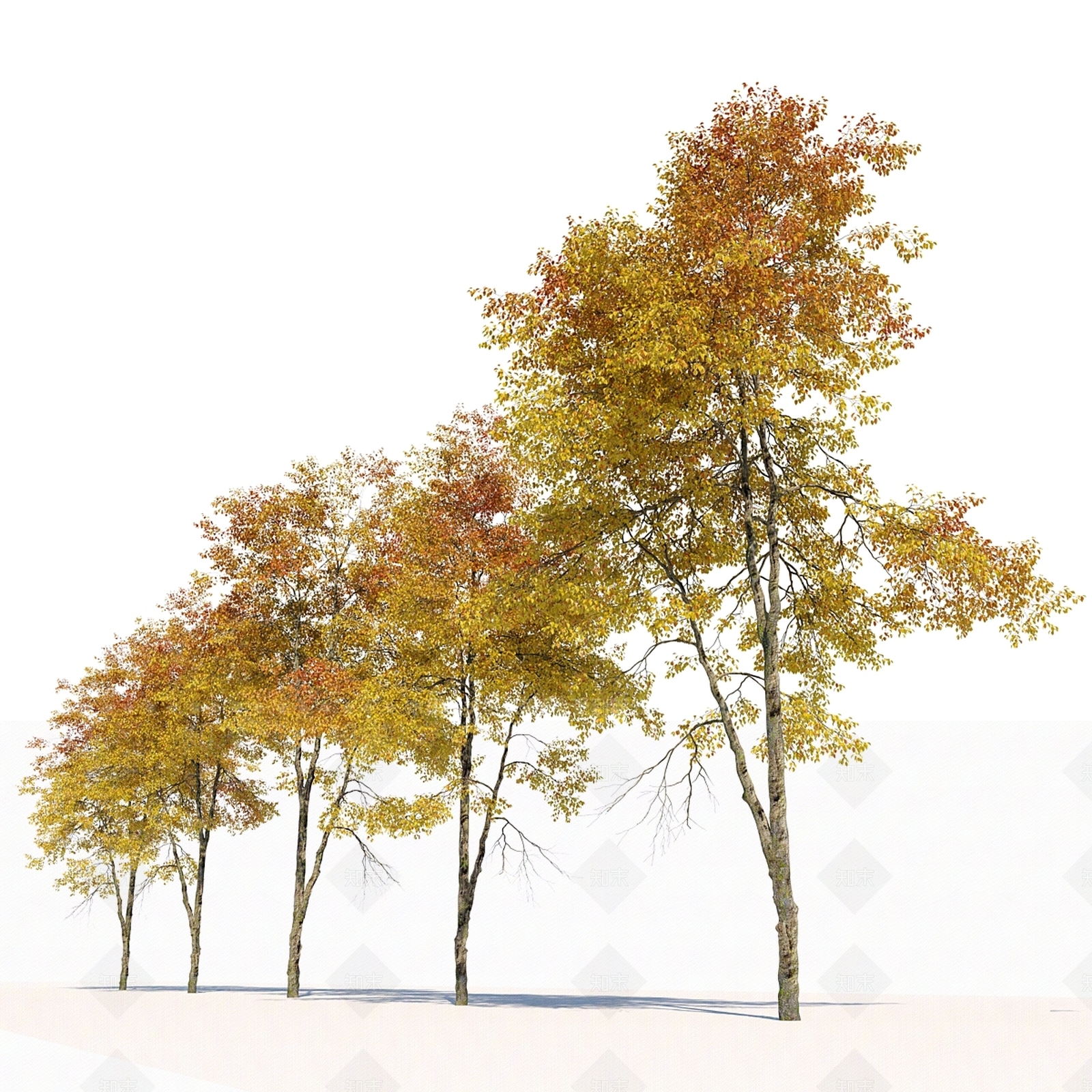 其他树木3D模型下载【ID:1166973332】