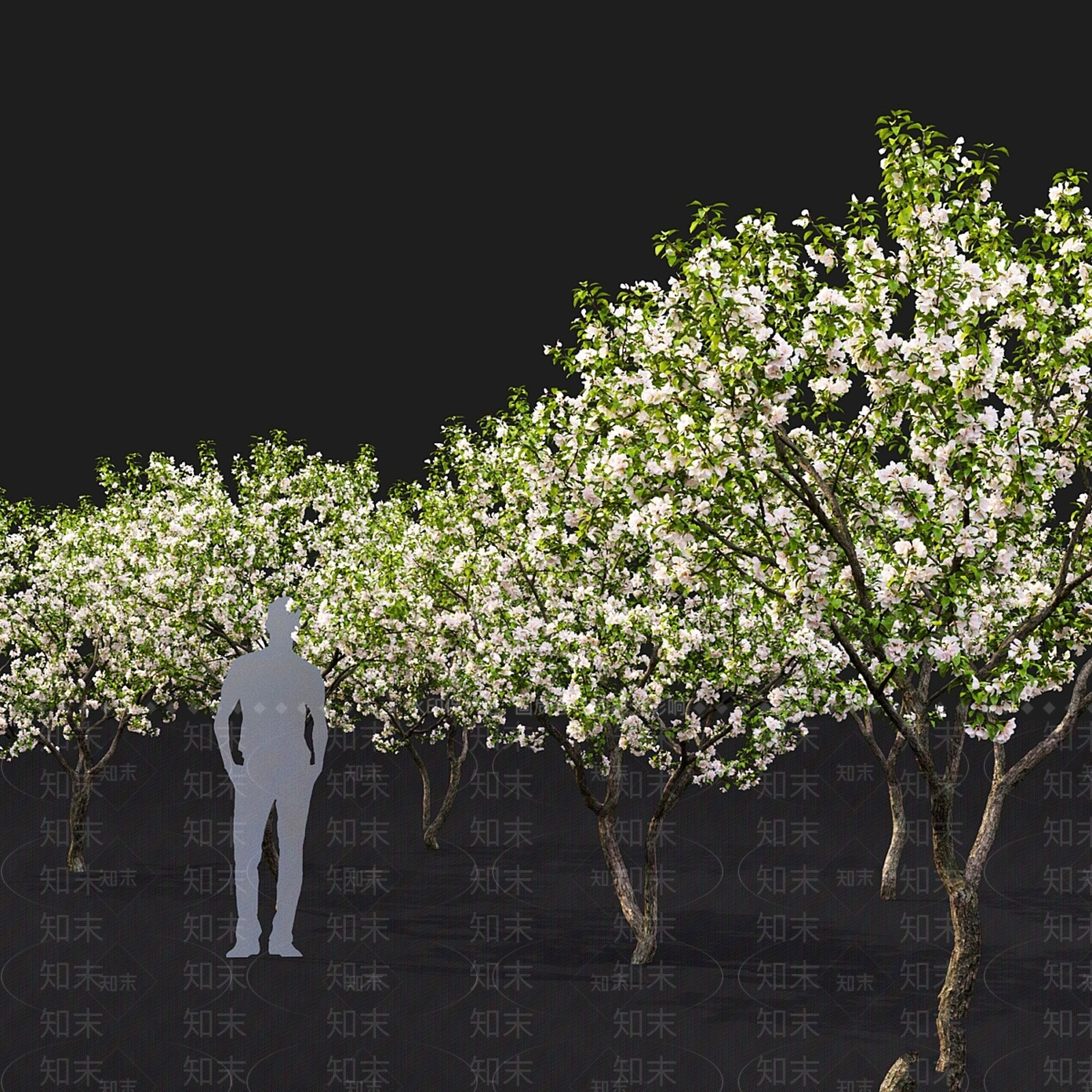 其他树木3D模型下载【ID:1166977716】