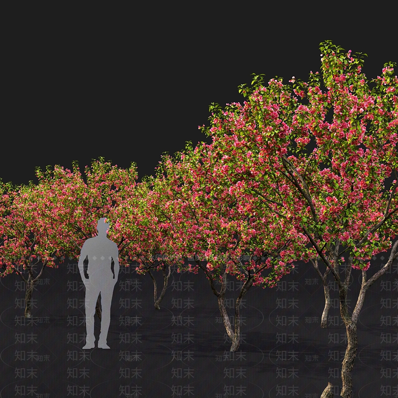其他树木3D模型下载【ID:1166977716】