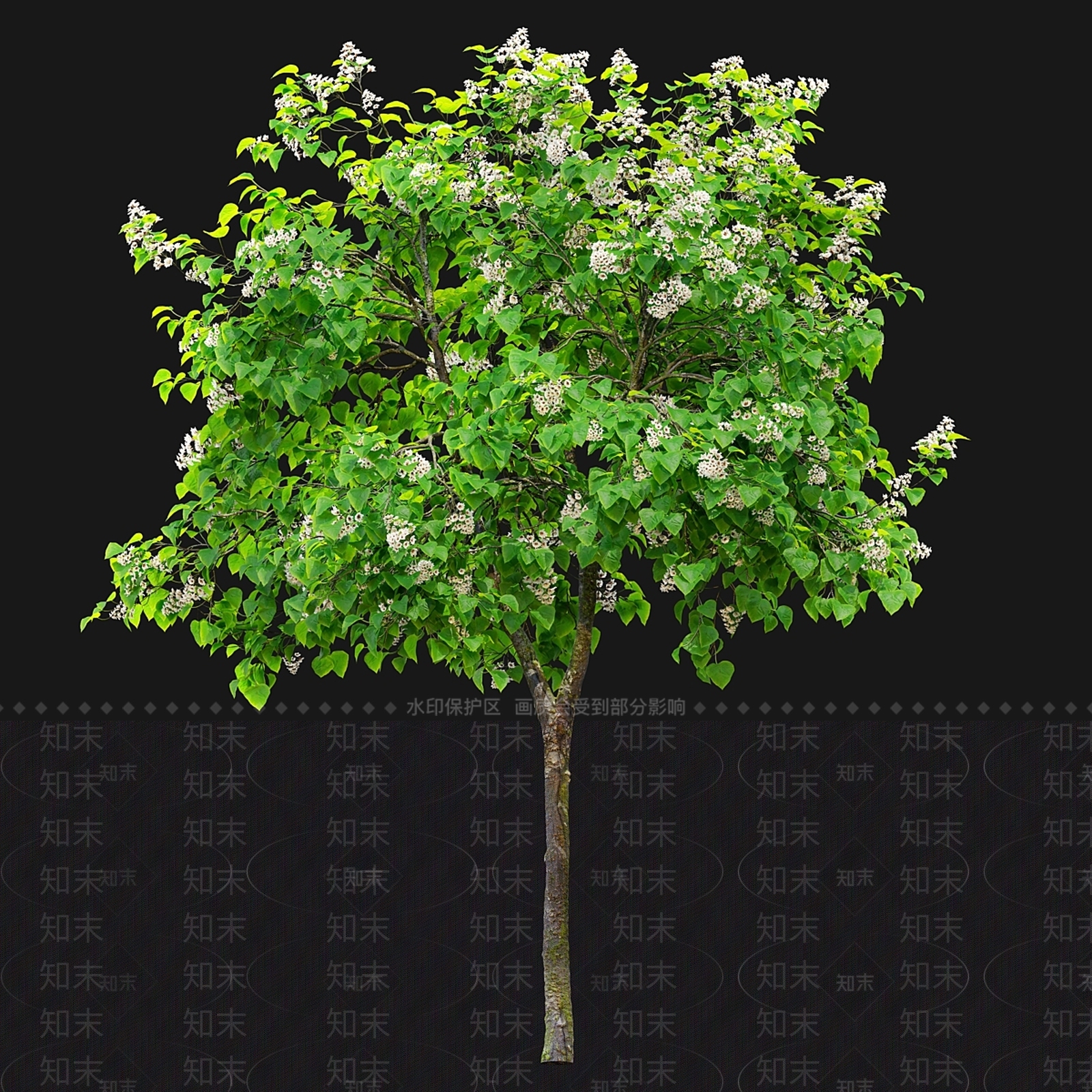 其他树木3D模型下载【ID:1166981643】