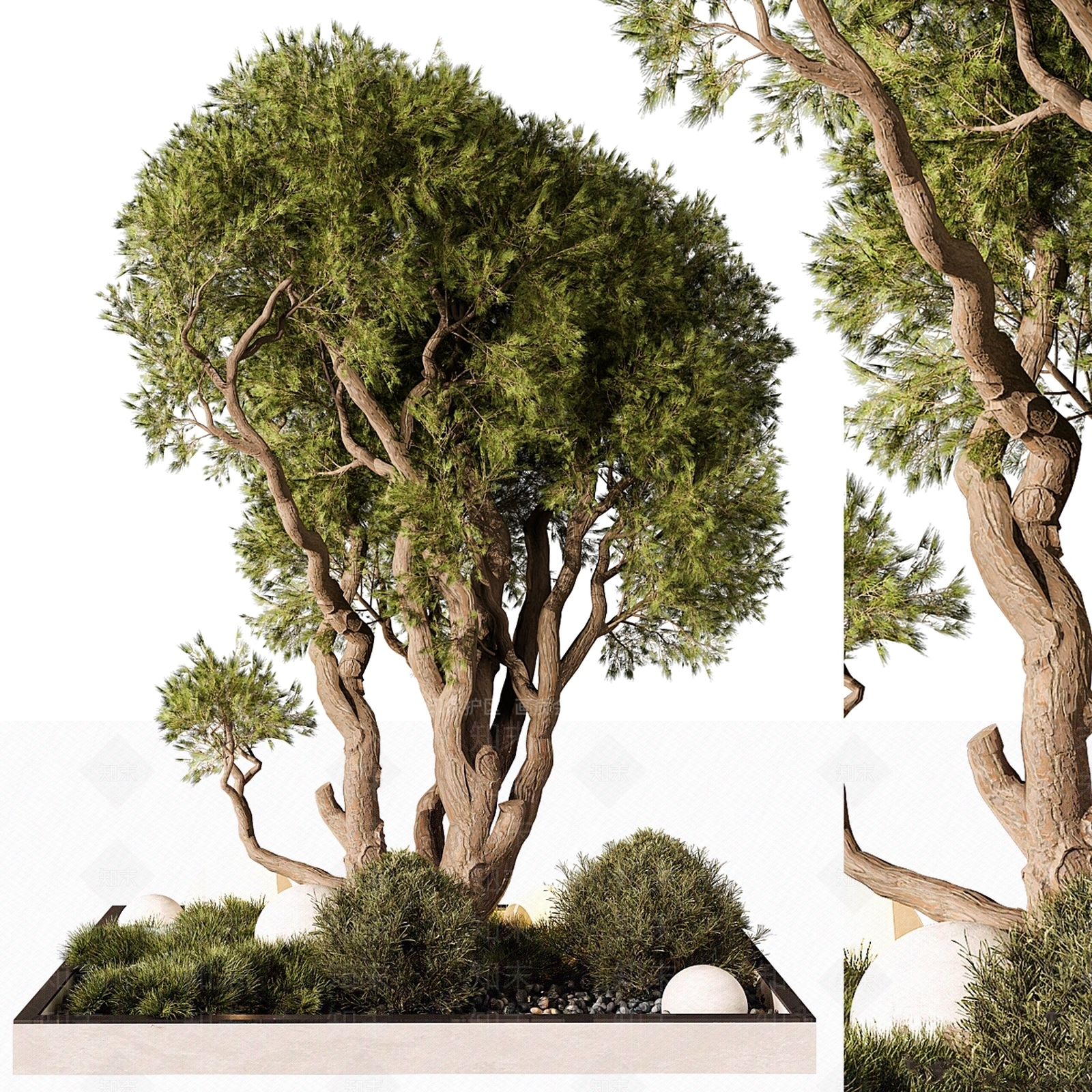 其他绿植3D模型下载【ID:1167051261】
