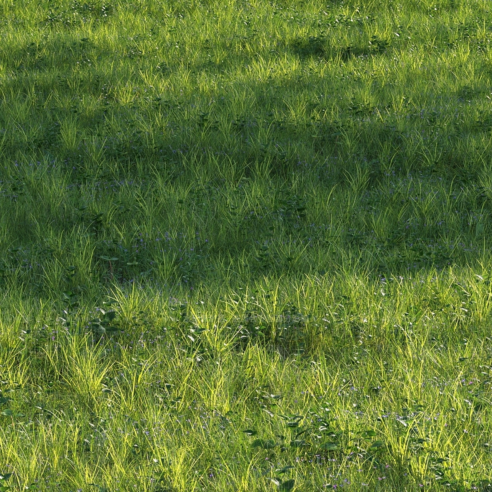 草坪3D模型下载【ID:1167060812】
