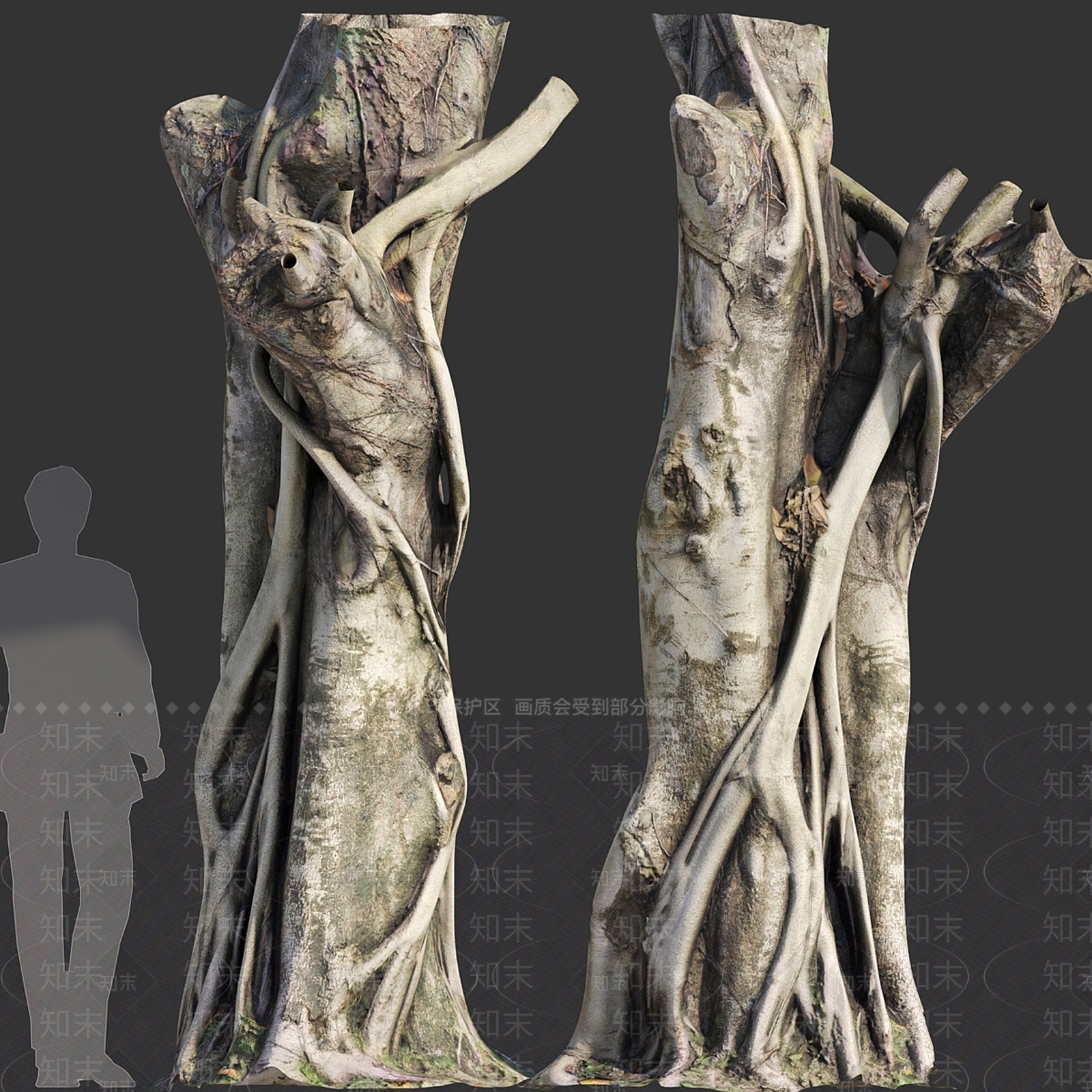 其他树木3D模型下载【ID:1167078075】
