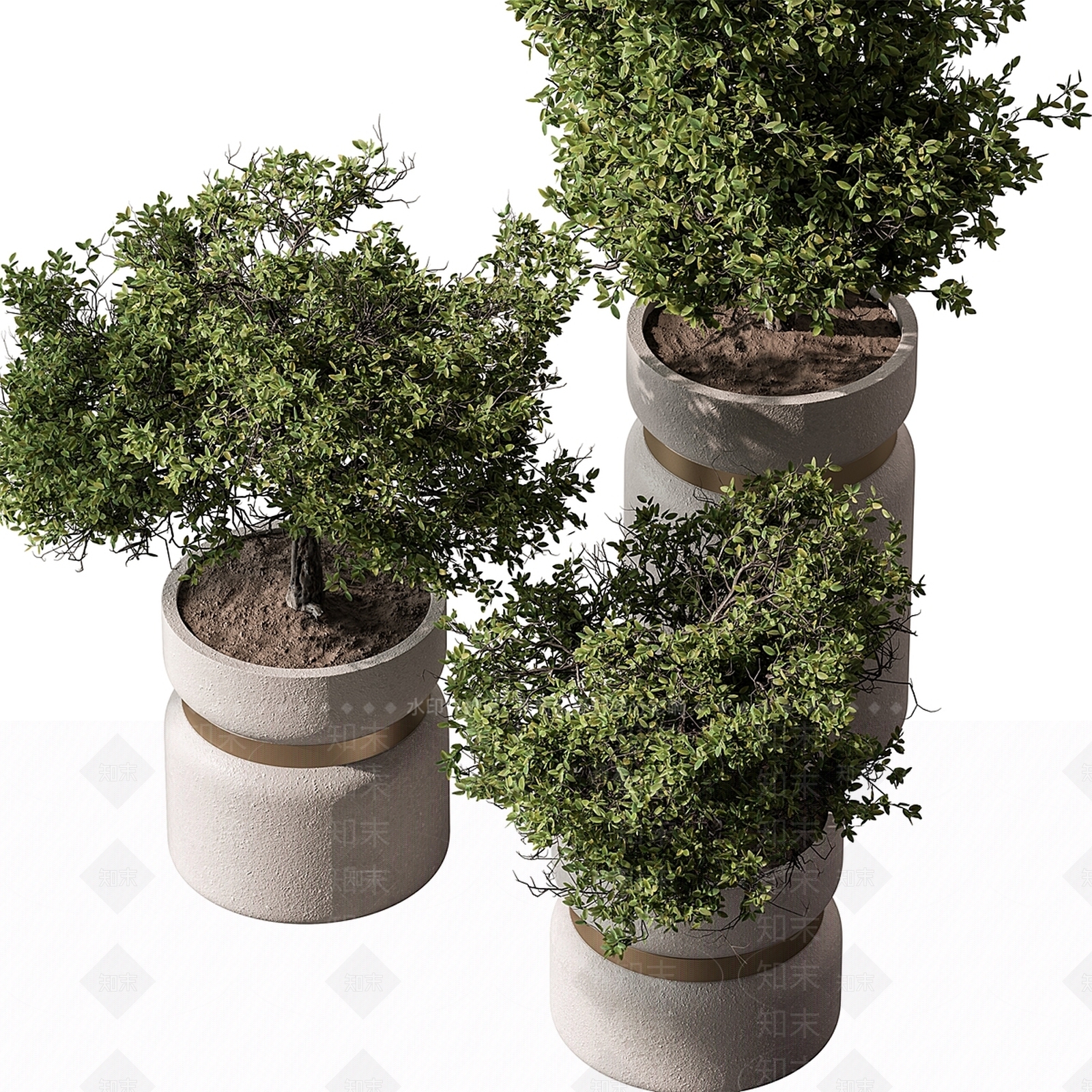 盆栽3D模型下载【ID:1167098675】