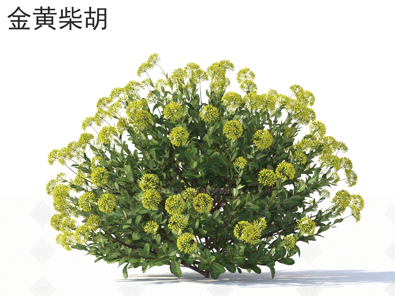 灌木3D模型下载【ID:1167113123】