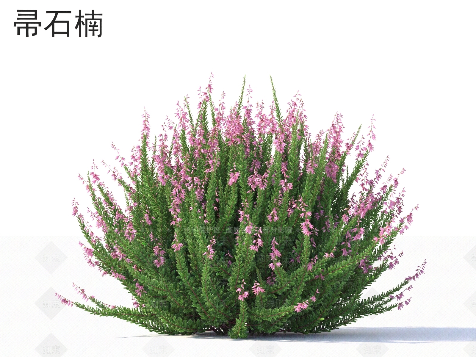 灌木3D模型下载【ID:1167114016】