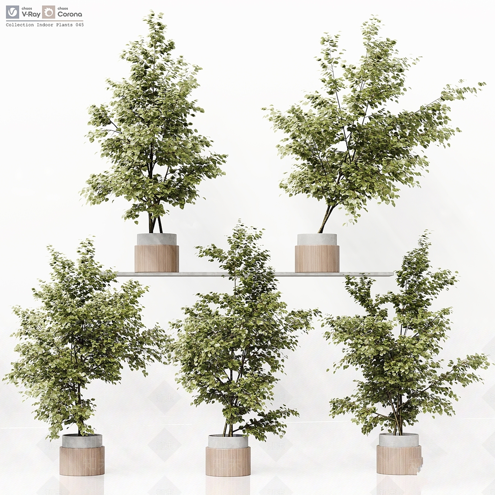 盆栽3D模型下载【ID:1167226943】
