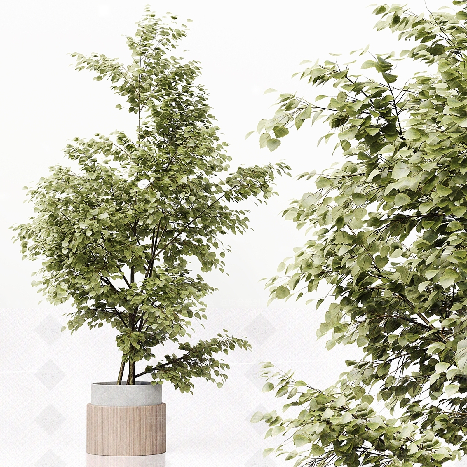 盆栽3D模型下载【ID:1167226943】