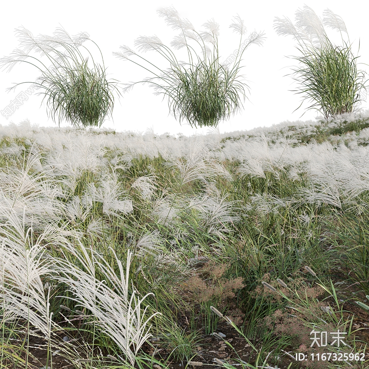 花草组合3D模型下载【ID:1167325962】