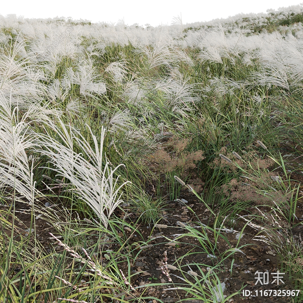 花草组合3D模型下载【ID:1167325967】