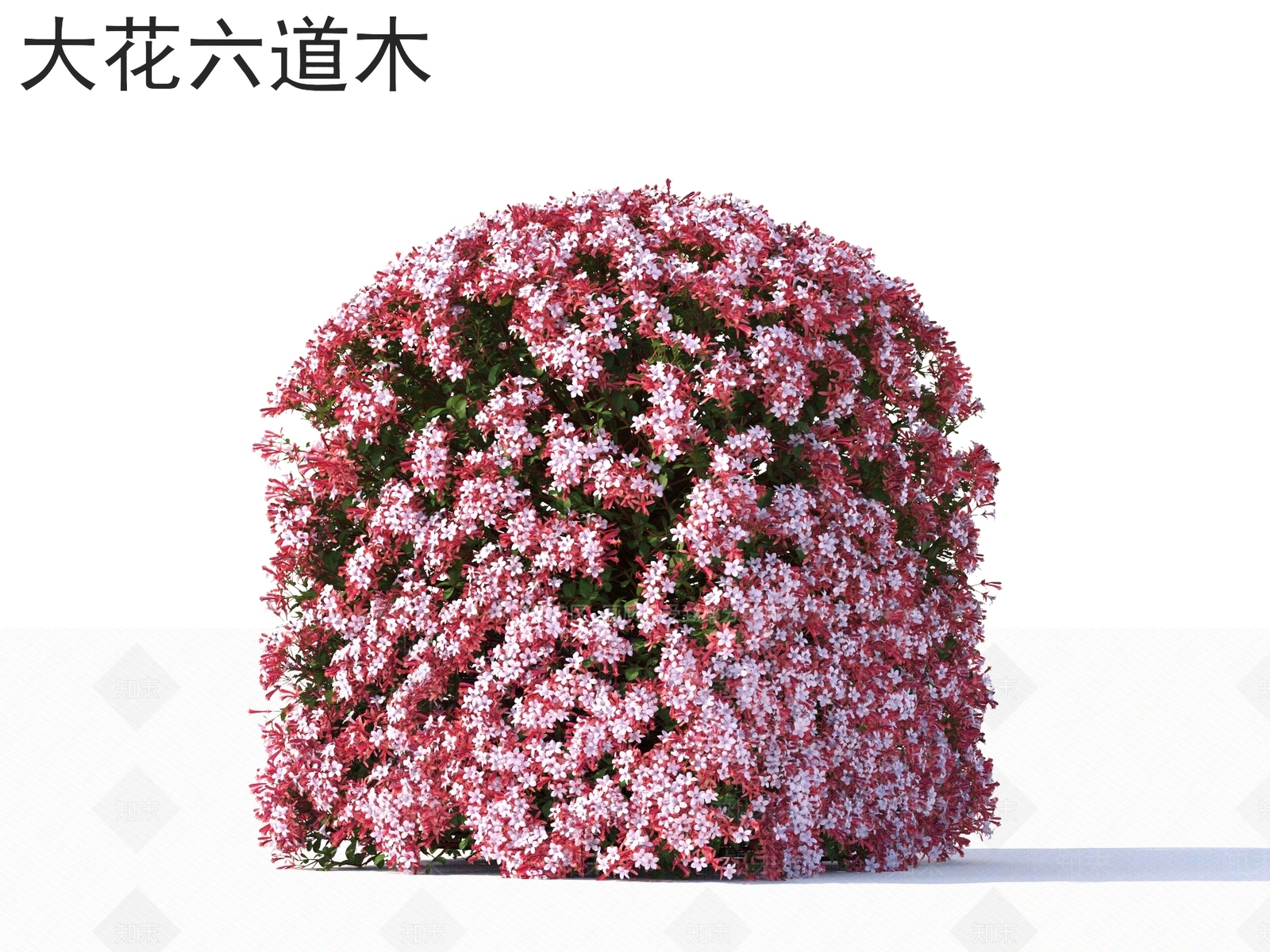 灌木3D模型下载【ID:1167335316】