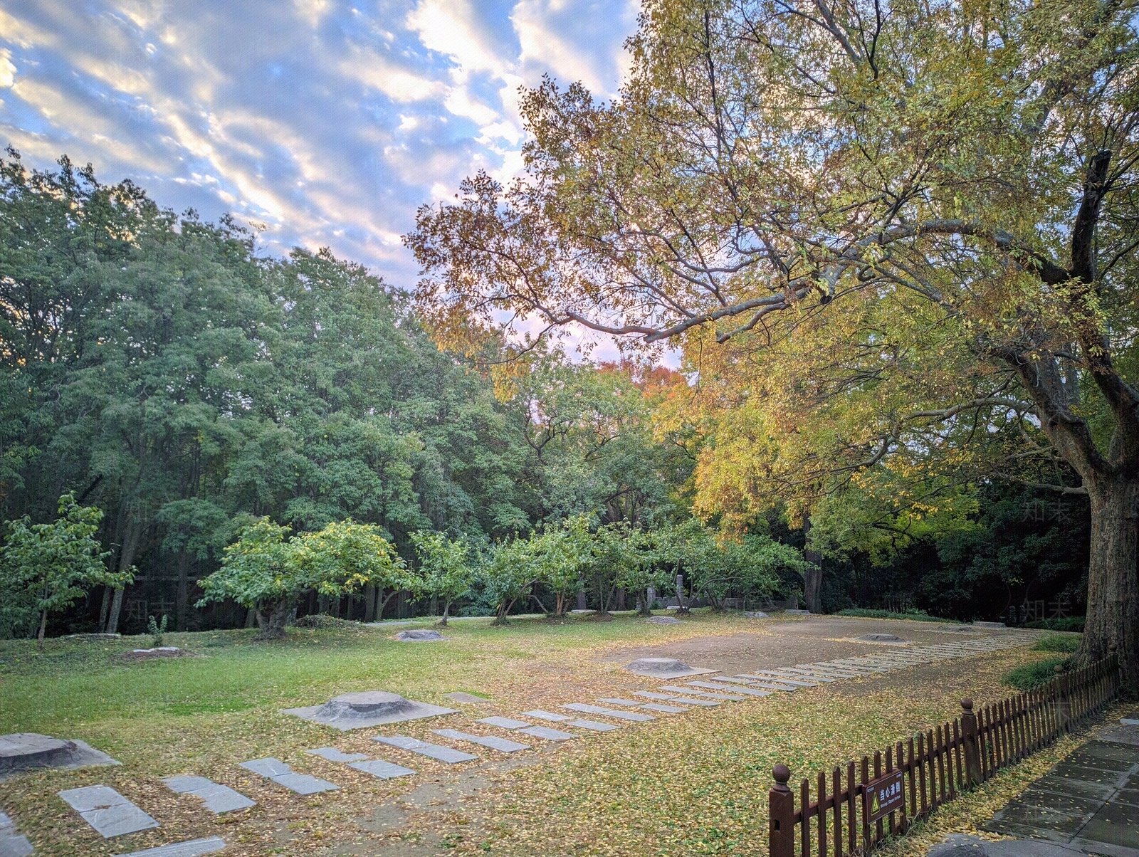 现代风景贴图下载【ID:1167364702】