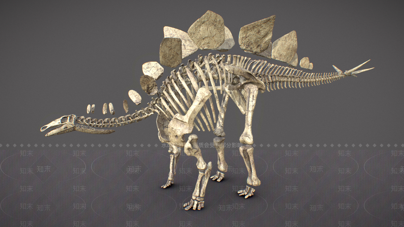 爬行类动物3D模型下载【ID:1167390592】