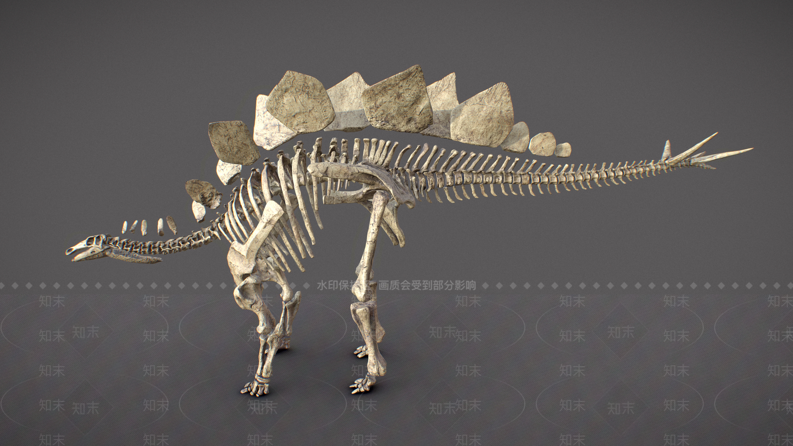爬行类动物3D模型下载【ID:1167390592】