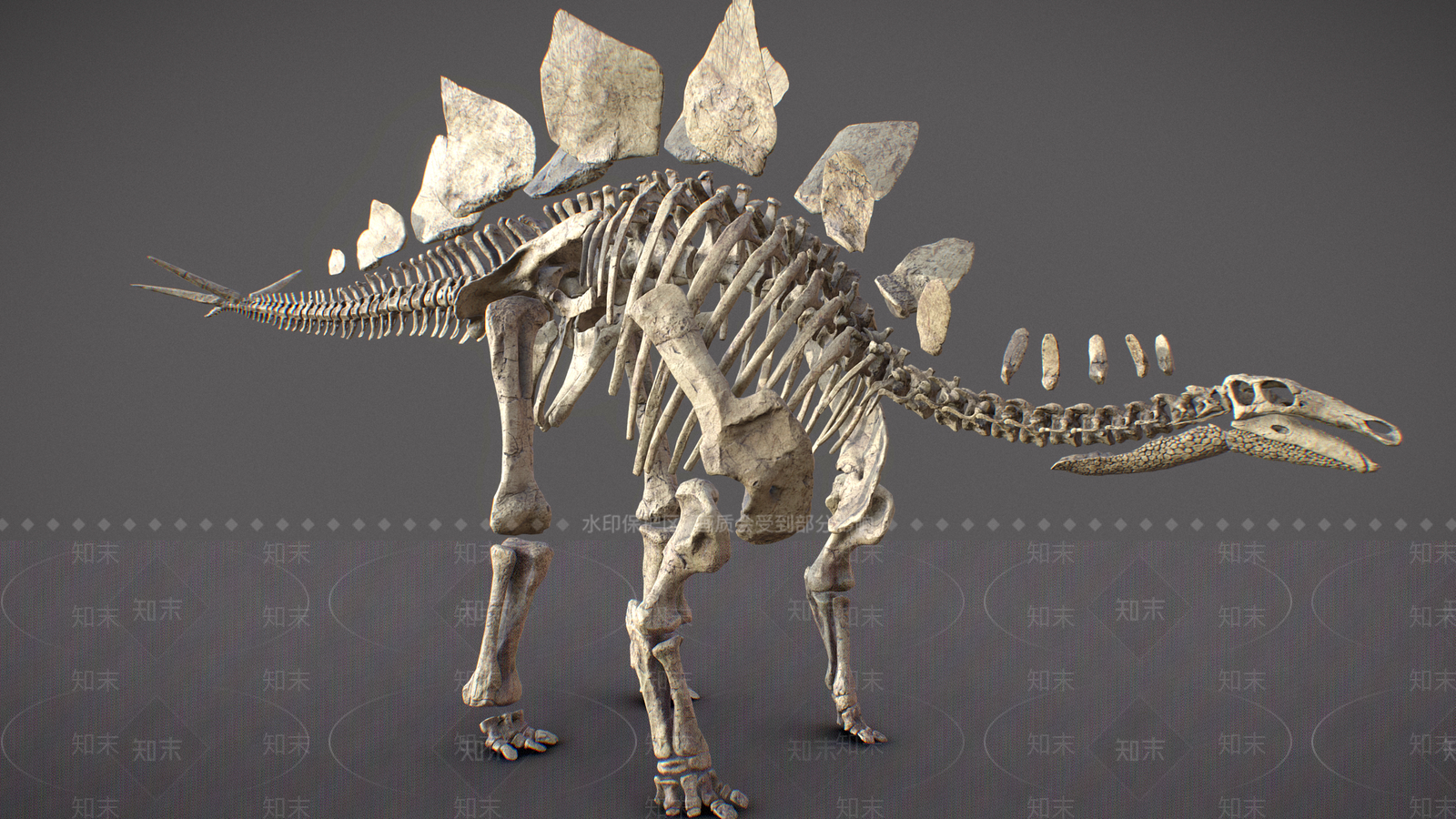 爬行类动物3D模型下载【ID:1167390592】