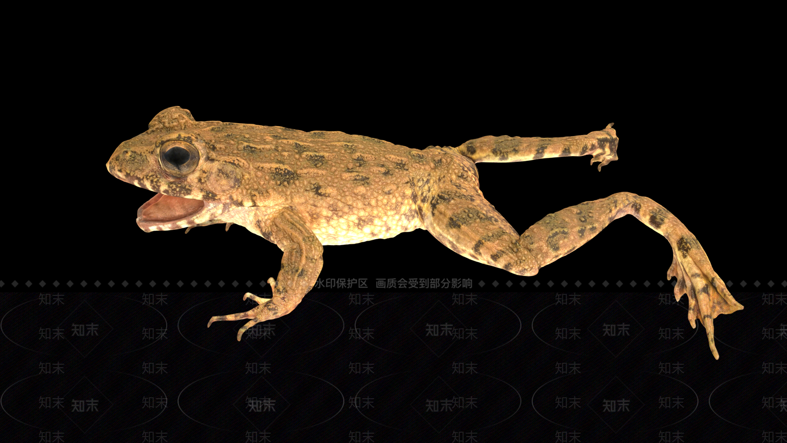 爬行类动物3D模型下载【ID:1167393615】