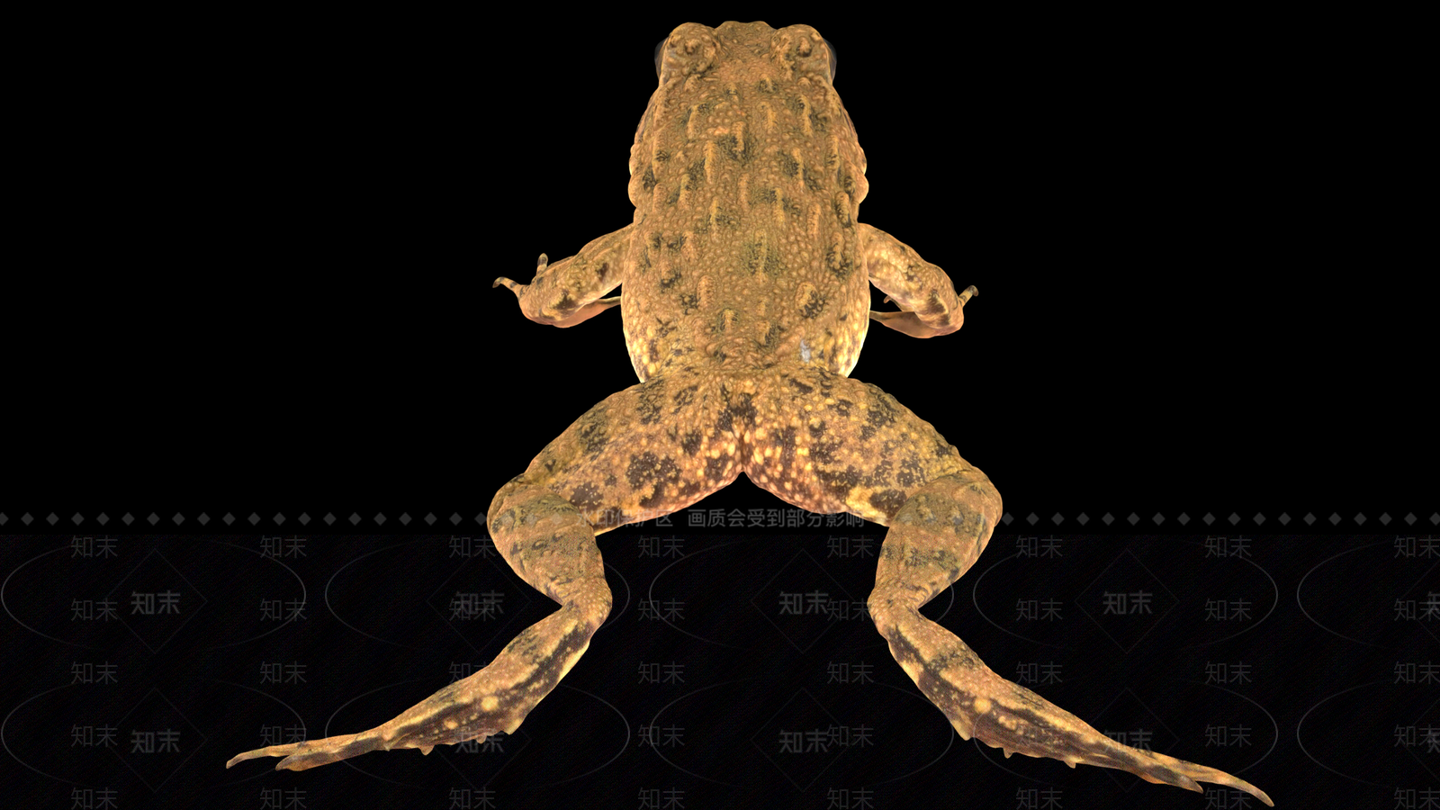 爬行类动物3D模型下载【ID:1167393615】