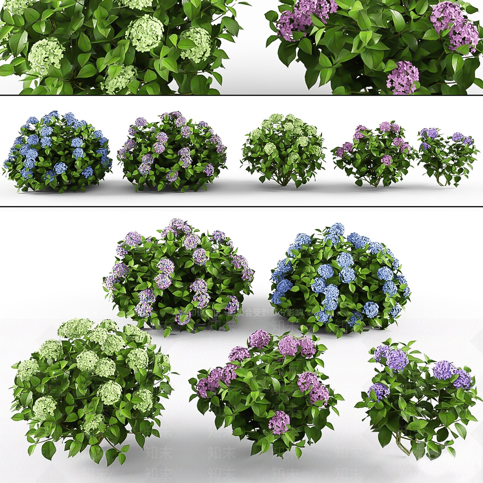 花草组合3D模型下载【ID:1167416249】